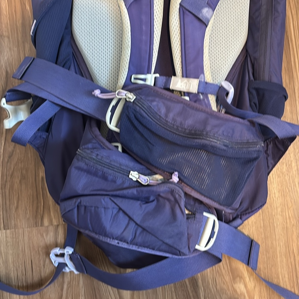 REI Trail 40 Backpack - Purple - Picture 3 of 10
